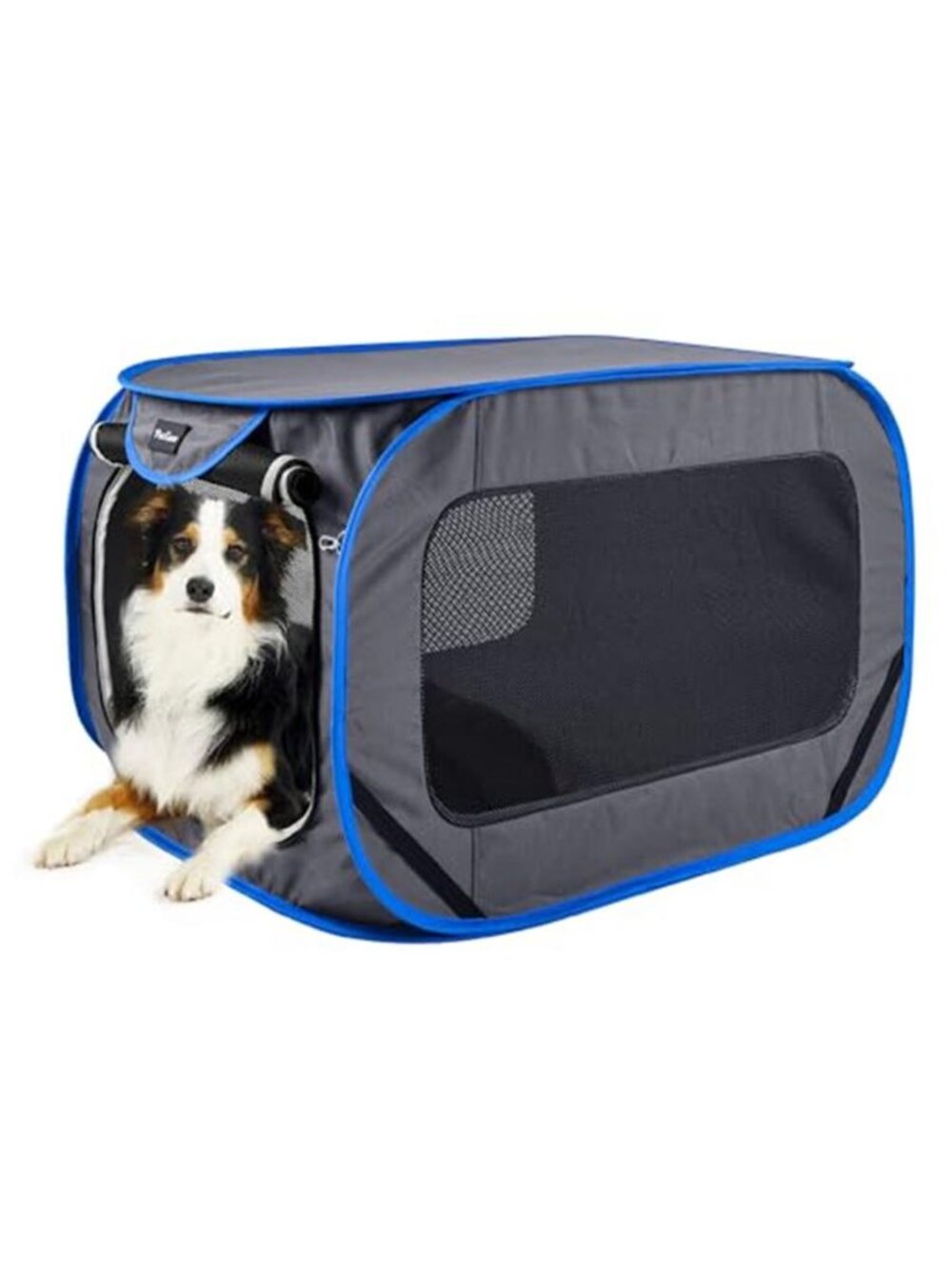 Large Pop Up Kennel Collapsible Travel Pet Crate Portable